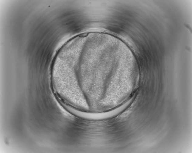 X0000098131430200805080949
