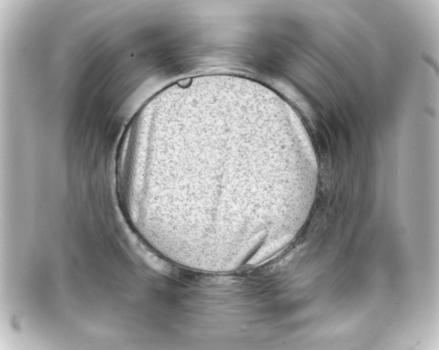 X0000098131431200805080949