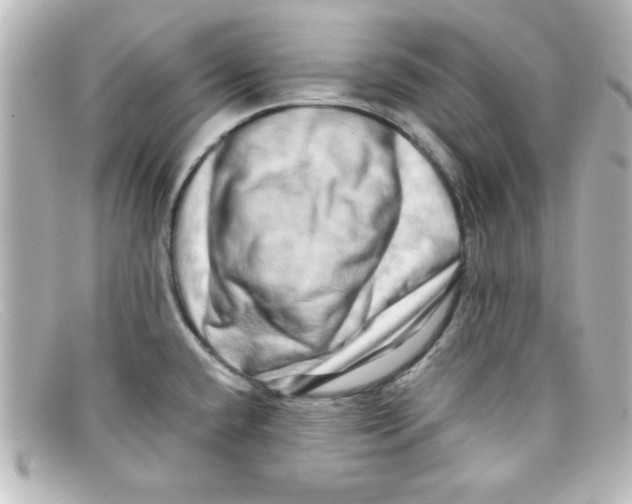 X0000098131432200805080949