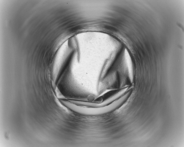 X0000098131433200805080949
