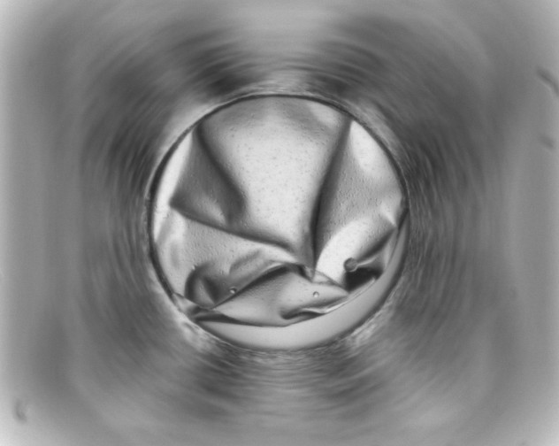 X0000098131434200805080949