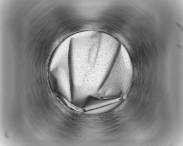 X0000098131435200805080949