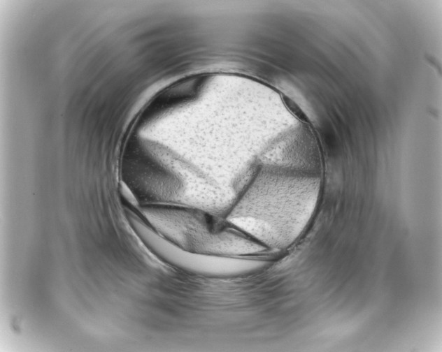 X0000098131436200805080949