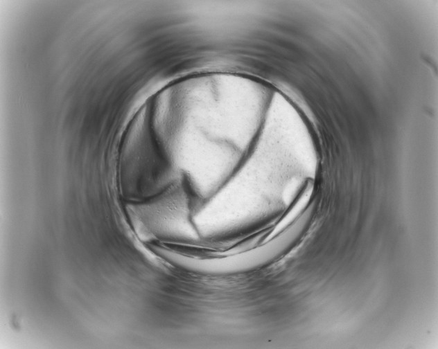 X0000098131437200805080949