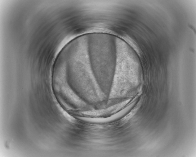 X0000098131438200805080949