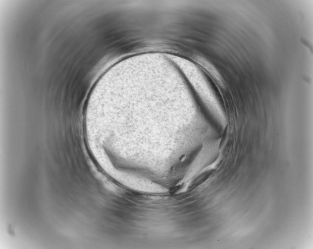 X0000098131439200805080949