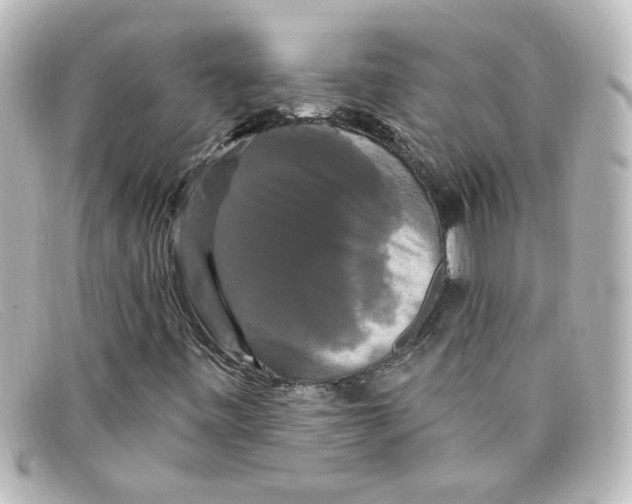 X0000098131443200805080948