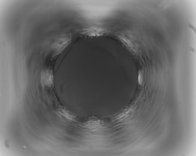 X0000098131444200805080948