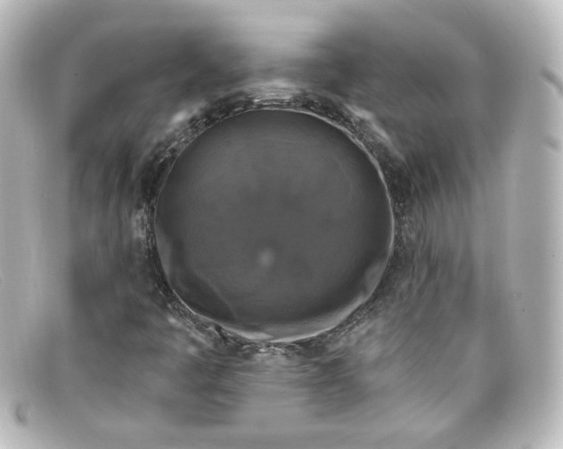 X0000098131445200805080948