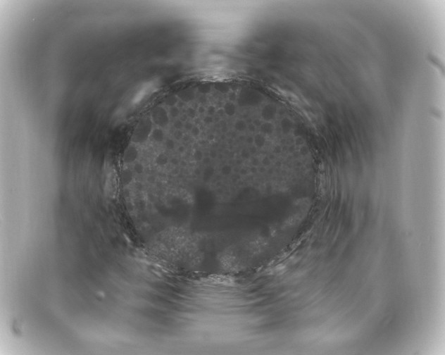 X0000098131446200805080948