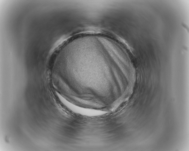 X0000098131448200805080948