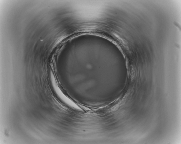 X0000098131449200805080948