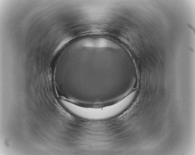 X0000098131450200805080948