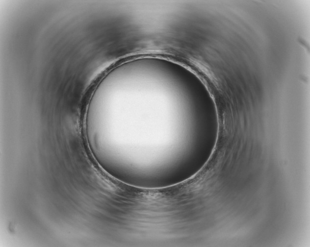 X0000098131452200805080948