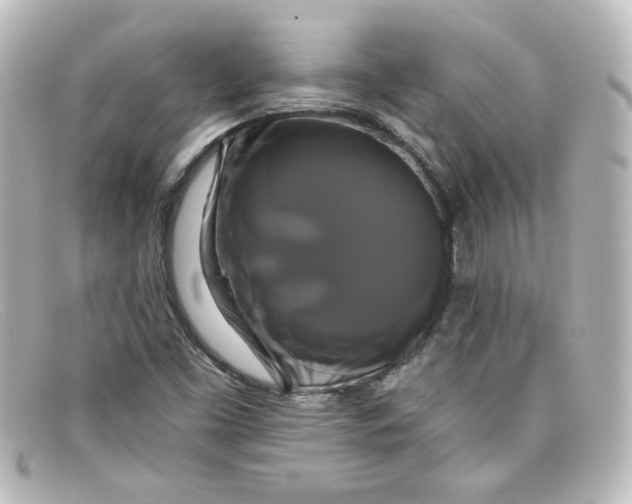 X0000098131453200805080948