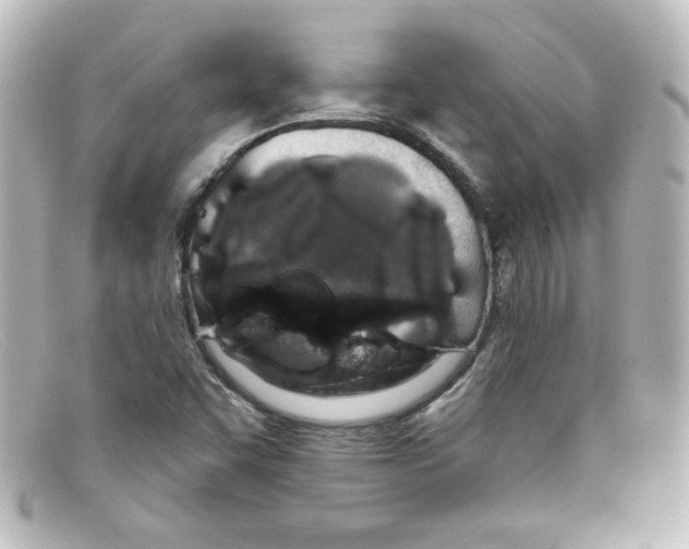 X0000098131455200805080948