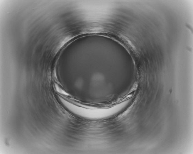 X0000098131457200805080948