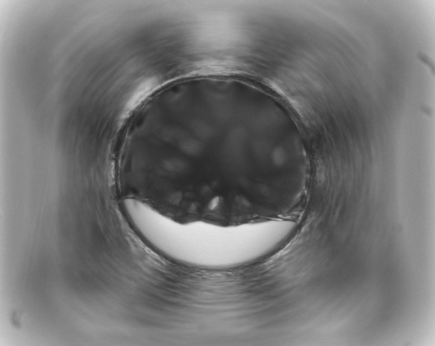 X0000098131459200805080948