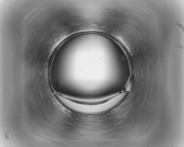 X0000098131460200805080948