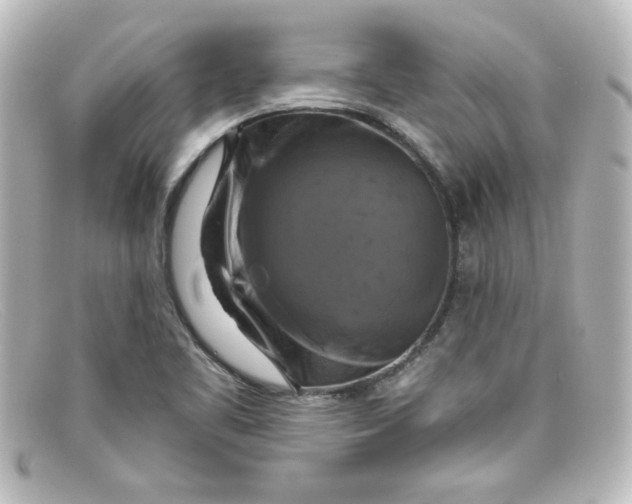 X0000098131461200805080948