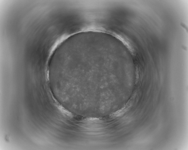 X0000098131462200805080948