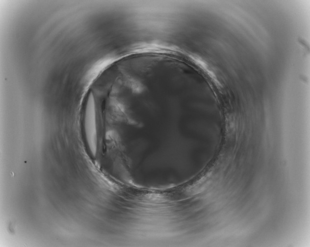 X0000098131463200805080948