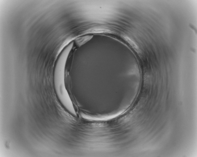X0000098131465200805080948
