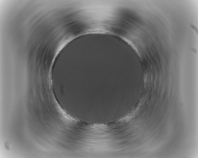 X0000098131466200805080948