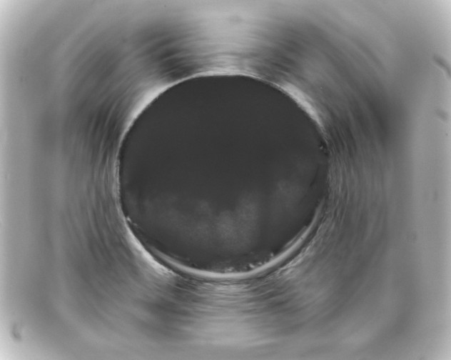 X0000098131468200805080948