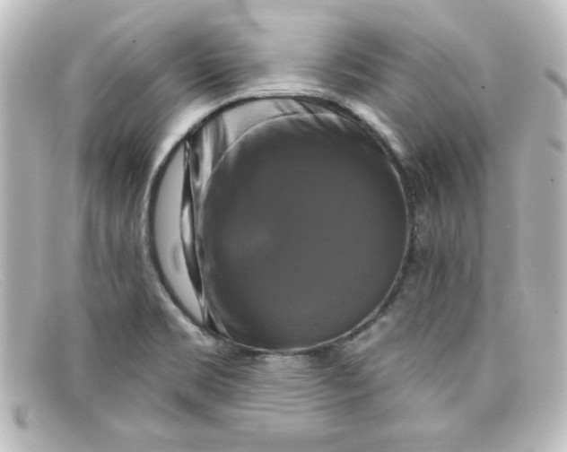 X0000098131469200805080948