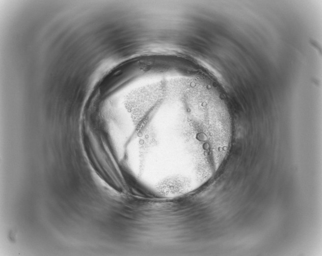 X0000098131471200805080948