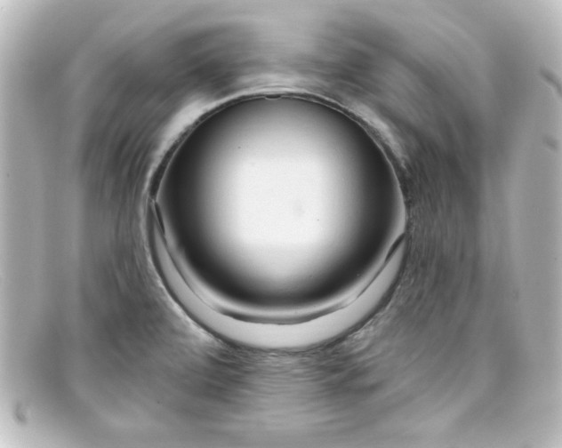 X0000098131472200805080948