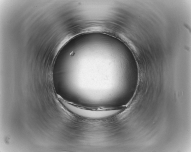 X0000098131473200805080948