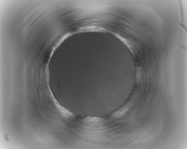 X0000098131474200805080948