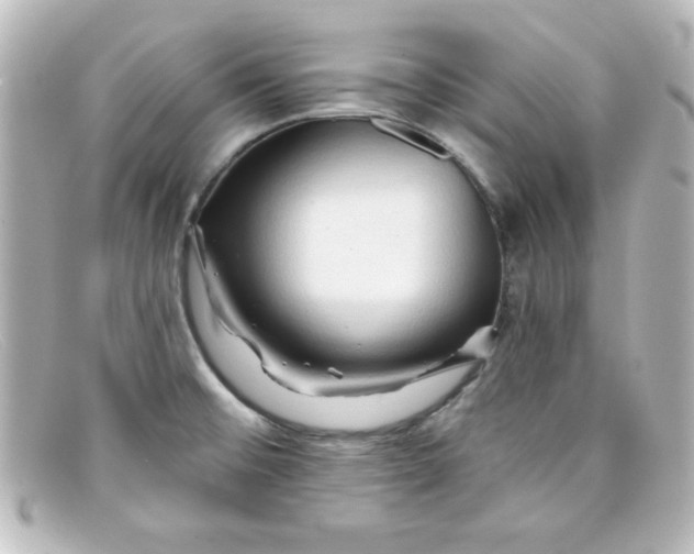 X0000098131476200805080948