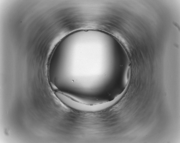X0000098131480200805080948