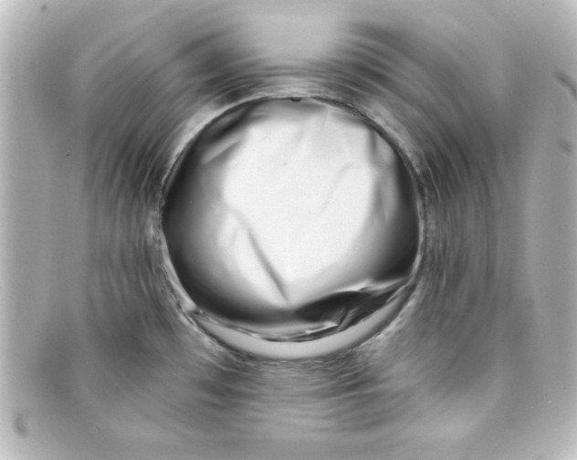 X0000098131481200805080948