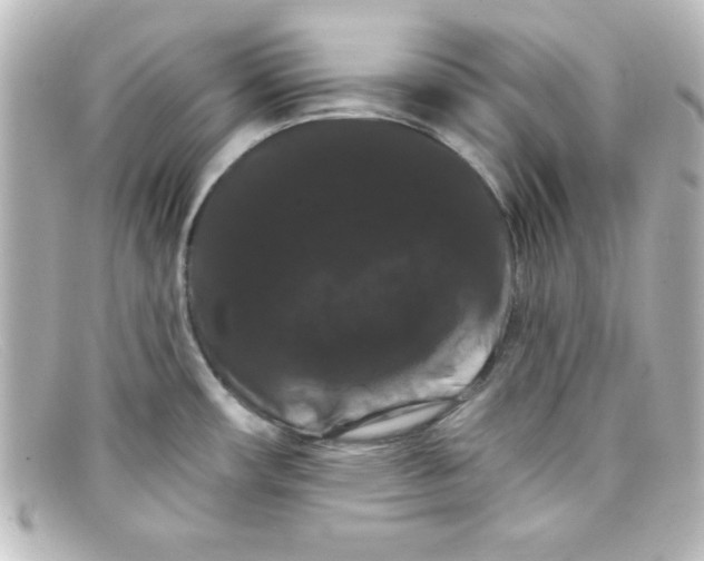 X0000098131482200805080948
