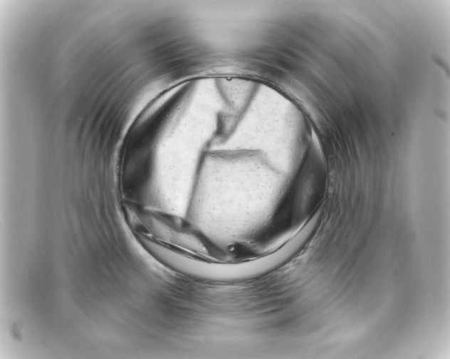 X0000098131483200805080948