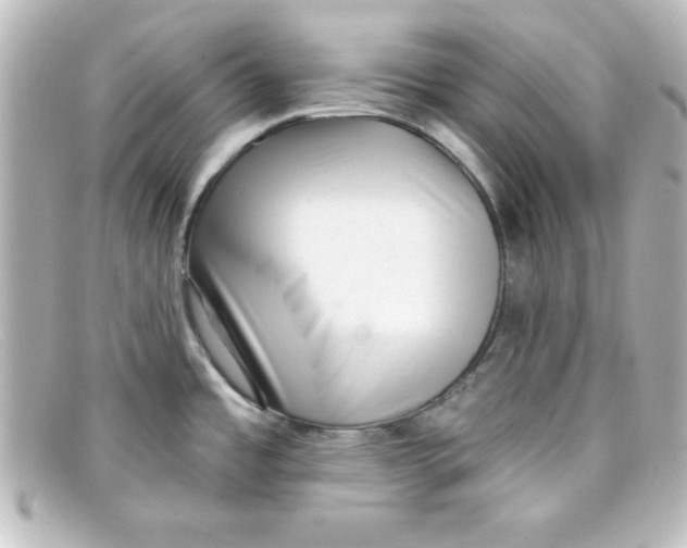 X0000098131485200805080948