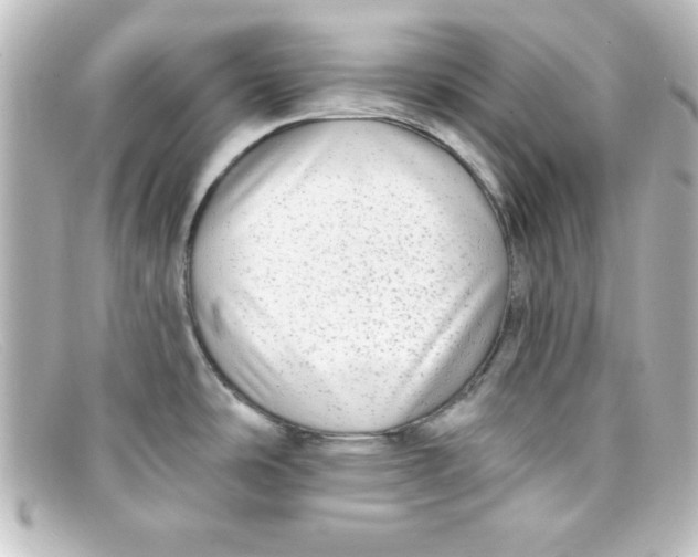 X0000098131486200805080948