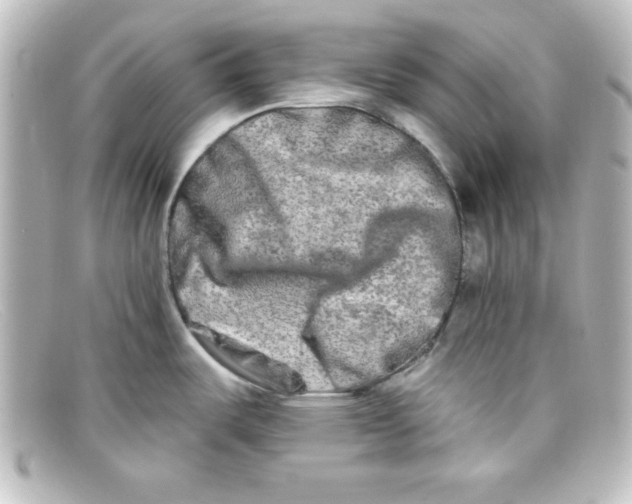 X0000098131487200805080948