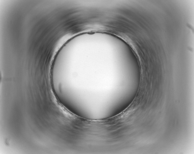 X0000098131488200805080948