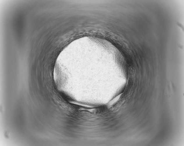 X0000098131489200805080947