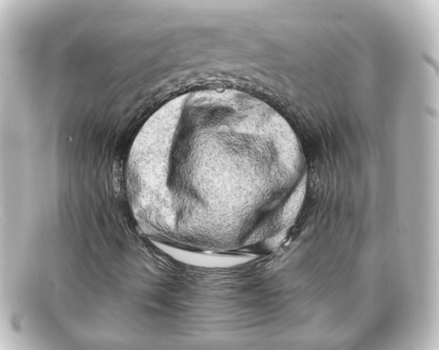 X0000098131490200805080947