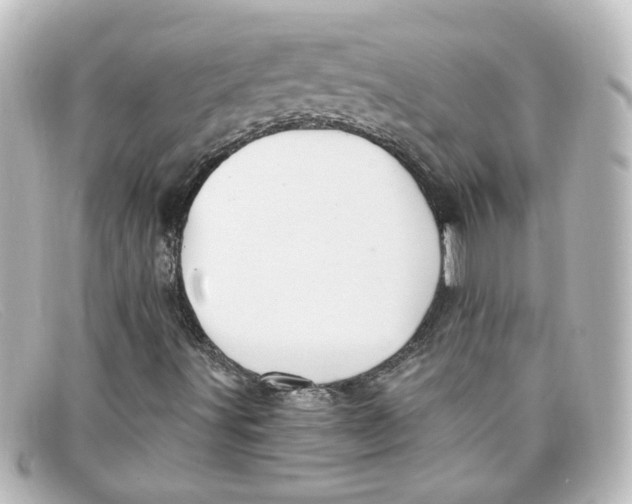 X0000098131491200805080947