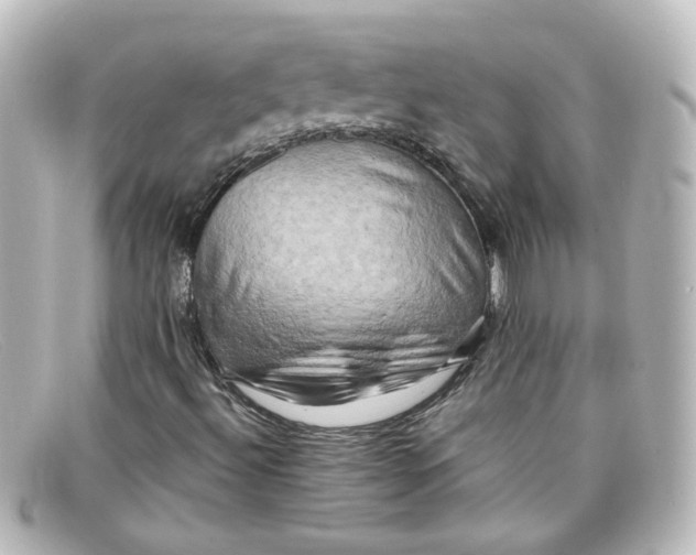 X0000098131492200805080947