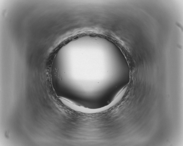 X0000098131496200805080947