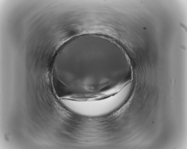 X0000098131497200805080947