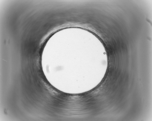 X0000098131502200805080947